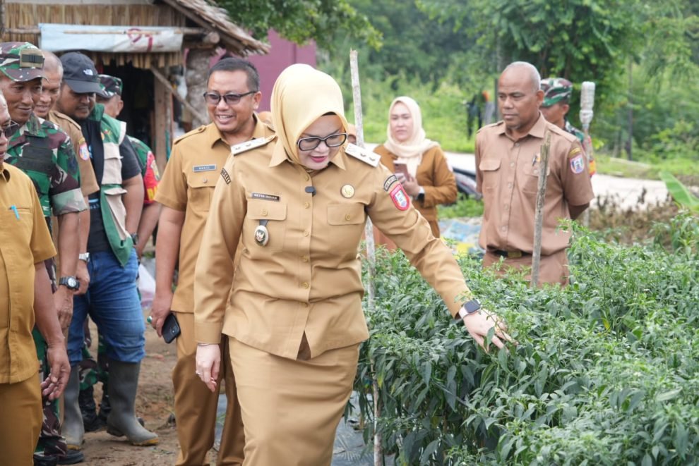 Wakil Bupati Banyuasin Netta Indian meninjau tanaman cabai di lahan pertanian Kompi Produksi sebagai dukungan ketahanan pangan daerah.