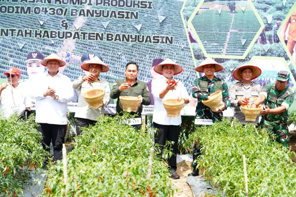 Bupati Banyuasin Askolani bersama Forkopimda saat panen raya 4 ton cabai di Kompi Produksi Banyuasin, Rabu (14/1/2026).