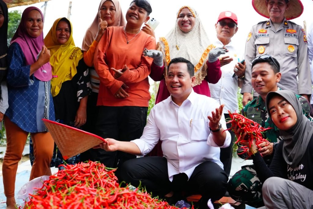 Bupati Banyuasin Askolani bersama Forkopimda dan warga saat panen raya cabai di kawasan Kompi Produksi Banyuasin.