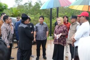 Wakil Bupati Banyuasin Netta Indian berdialog dengan perwakilan masyarakat saat meninjau lokasi Cluster Perumahan CGC di wilayah Banyuasin.