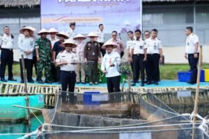 Kegiatan panen ikan dan sayur pakcoy Pemkab Banyuasin bersama Lapas Kelas IIA Banyuasin di Pangkalan Balai