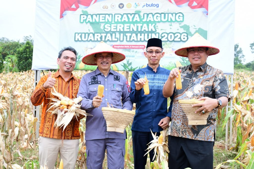 Panen Raya Jagung Serentak Kuartal I 2026 di Kabupaten Banyuasin yang dihadiri Pemkab Banyuasin dan Polres Banyuasin di Kecamatan Banyuasin III.