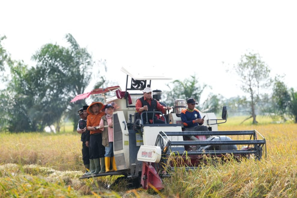 Mesin panen padi beroperasi saat panen raya di Desa Songo Makmur, Kecamatan Selat Penugukan, Kabupaten Banyuasin