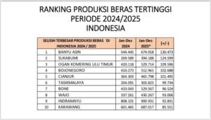 Tabel ranking produksi beras tertinggi Indonesia periode 2024–2025 yang menempatkan Kabupaten Banyuasin di peringkat pertama berdasarkan data produksi beras.