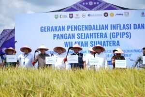 Foto kegiatan GPIPS Sumsel di Desa Mulyosari, Kecamatan Tanjung Lago, Banyuasin, saat agenda pengendalian inflasi dan pangan sejahtera