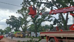 Petugas PJU Dishub Banyuasin melakukan pemangkasan ranting pohon yang menutup penerangan jalan menggunakan mobil crane di Kecamatan Sembawa.