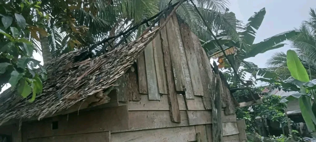 Kondisi rumah warga yang terdampak kebakaran di Dusun Lalang, Kecamatan Sembawa, Kabupaten Banyuasin.