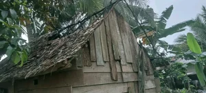 Kondisi rumah warga yang terdampak kebakaran di Dusun Lalang, Kecamatan Sembawa, Kabupaten Banyuasin.